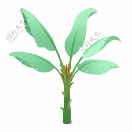 生长热带植物