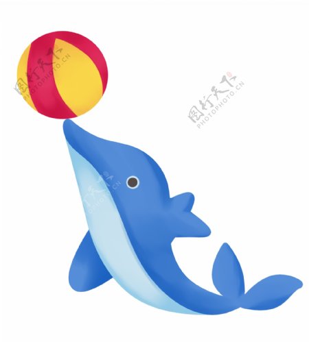 玩球水生物海豚