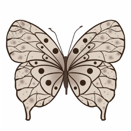 动物昆虫蝴蝶灰色