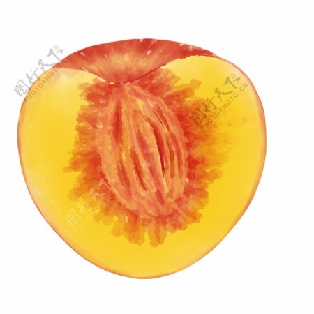 水果桃子水果核