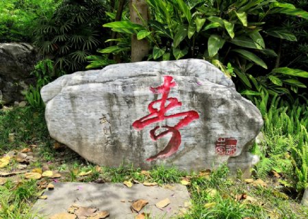 石刻寿文化