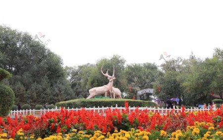 红山公园羊雕塑