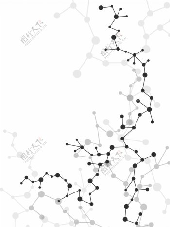 分子图