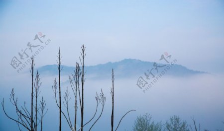 山雾缭绕唯美风景
