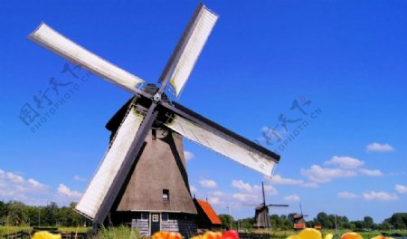 荷兰风车风景