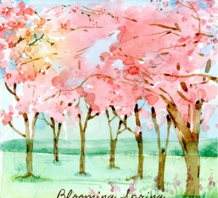 水彩绘粉色樱花树林