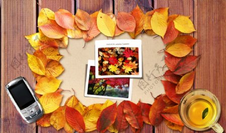 秋季意境落叶提示牌合成桌面