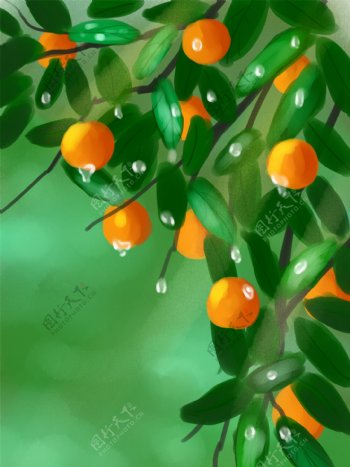 清新风手绘橘子插画背景