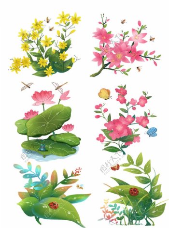 卡通植物花朵