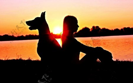 夕阳下的人与狗