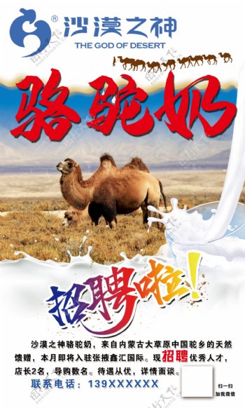 沙漠之神骆驼奶海报