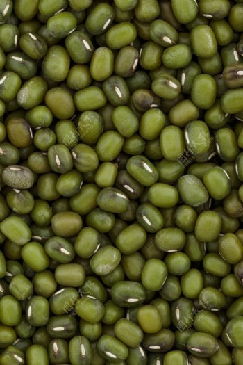 绿豆超高清五谷杂粮白糯米