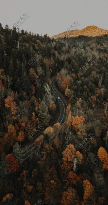 山林与公路