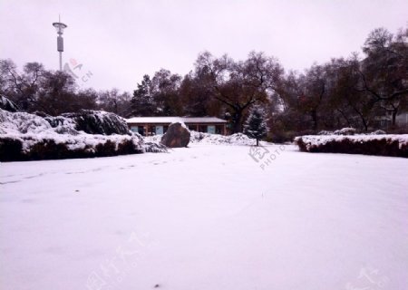 龙沙公园初冬雪景