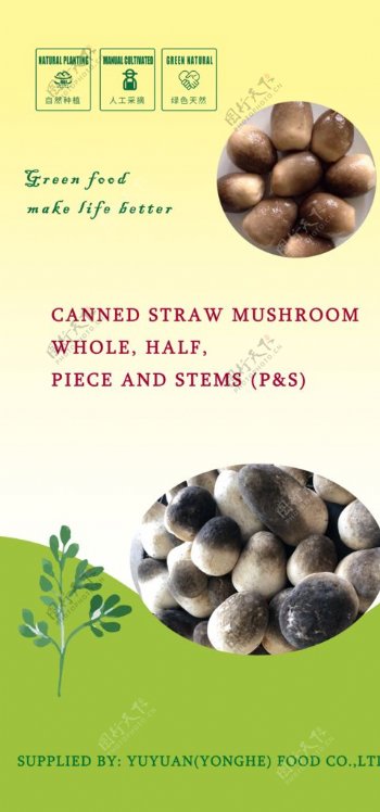 食品广告草菇海报模板