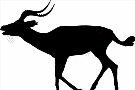 野生动物系列黑斑羚矢量图