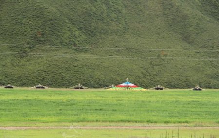 民族草原