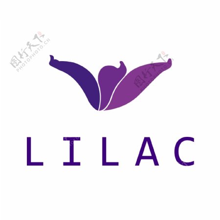 紫色丁香花logo