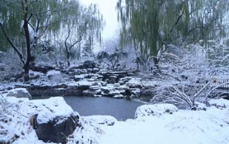 冬日初雪