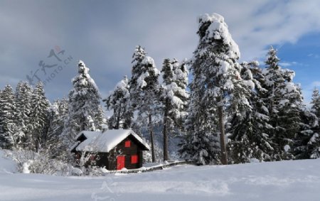 冬天木屋森林树木大雪