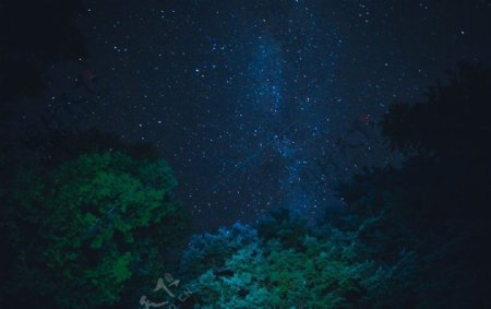 黑夜星辰树林背景