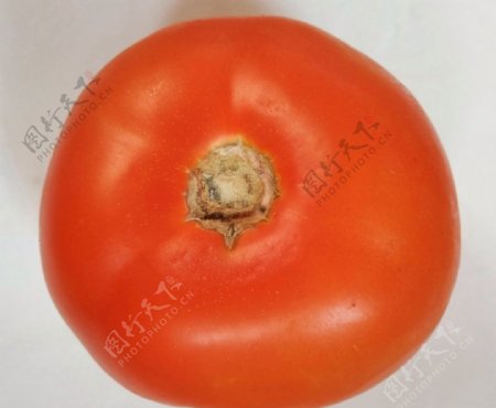 红番茄西红柿蔬菜新鲜
