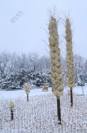 冬雪地景