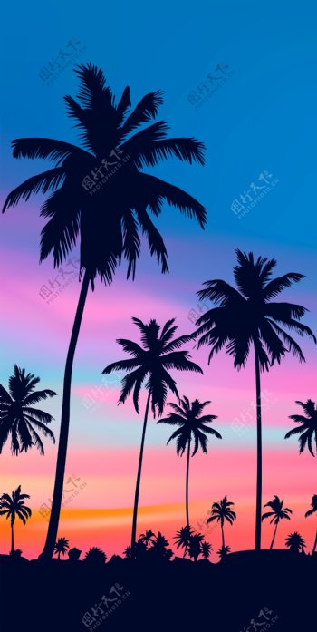 沙滩巾椰树