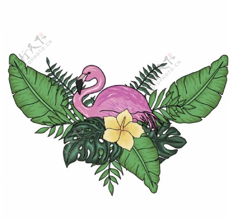 热带水果植物装饰图案