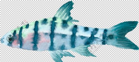 手绘水彩蓝色深海鱼