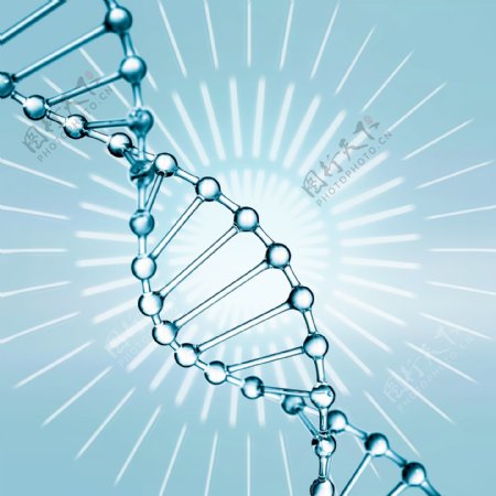 DNA透明基因链