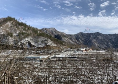 农村雪景