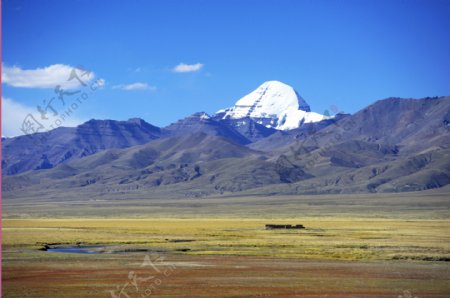 西藏阿里草原