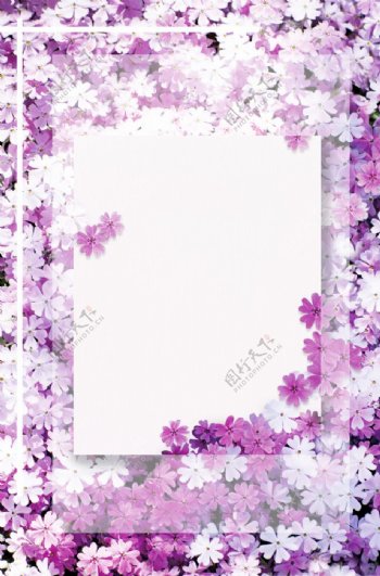 紫色花艺边框背景