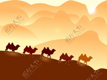 沙漠骆驼手绘插画