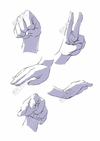人体手型动作