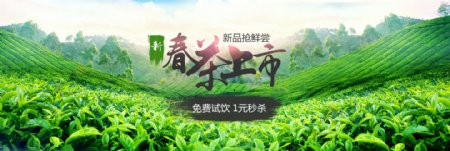 小清新风淘宝京东茶叶海报