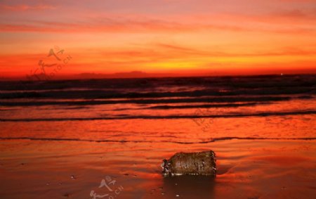 海洋垃圾海滩污染养护