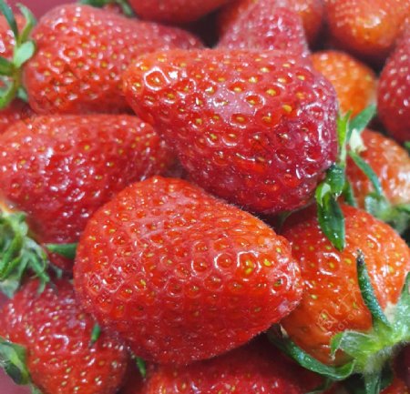 草莓红色甜新鲜食品