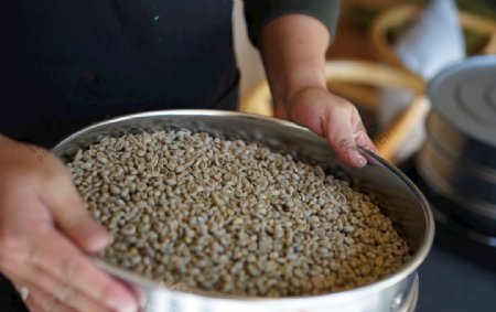 咖啡生豆筛选