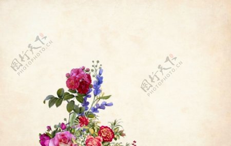 花朵植物背景图