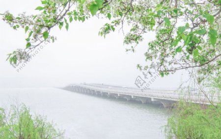 雾中西山大桥