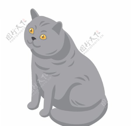 动物蓝猫插画图案