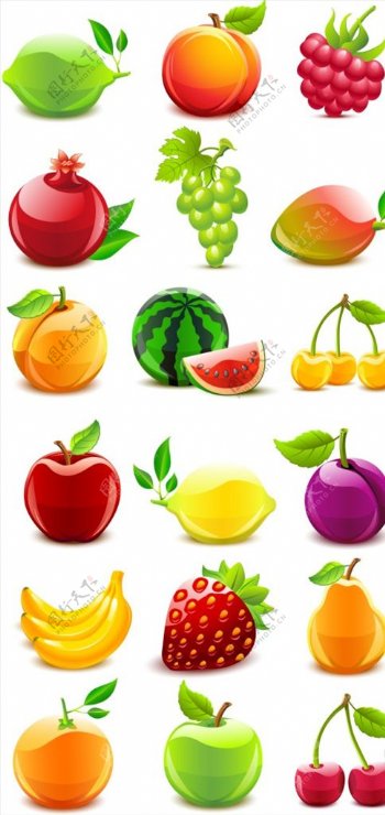 矢量彩绘水果