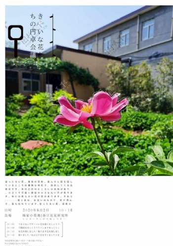 日式小清新植物海报