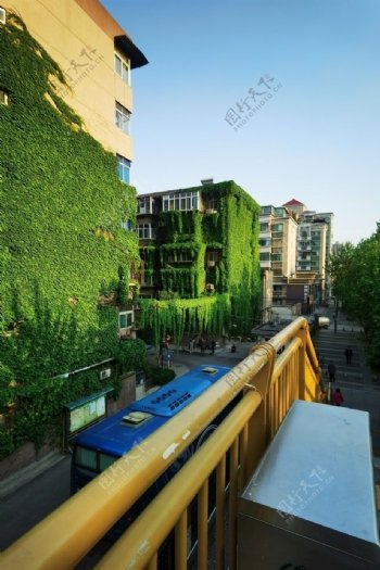 绿植建筑