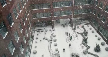 下雪时大连科技学院