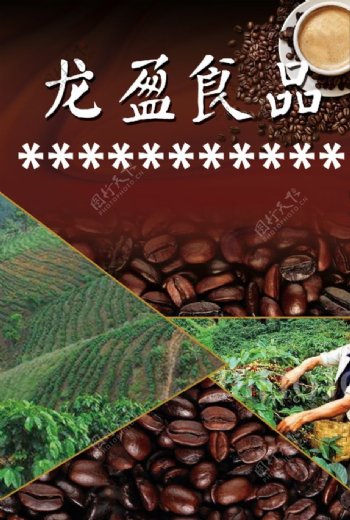 咖啡豆海报