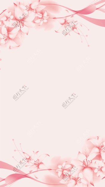 粉色背景飘带鲜花
