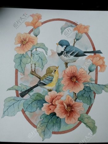 花与鸟